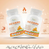 Fatburn Powder Orange Buy 1 Get 1 Free