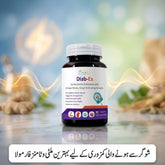 Diab-Ex