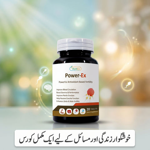 Power-Ex