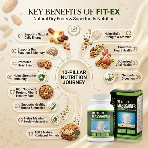 Fit-Ex Organic Weight Gainer