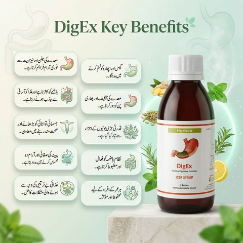 DigEx