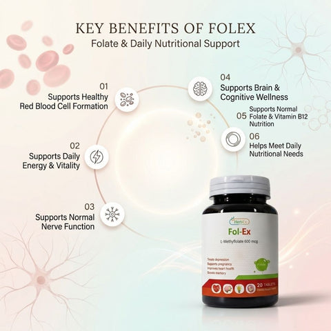 Fol-Ex
