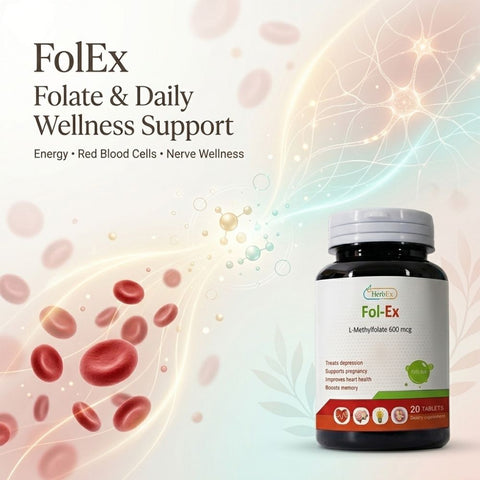 Fol-Ex
