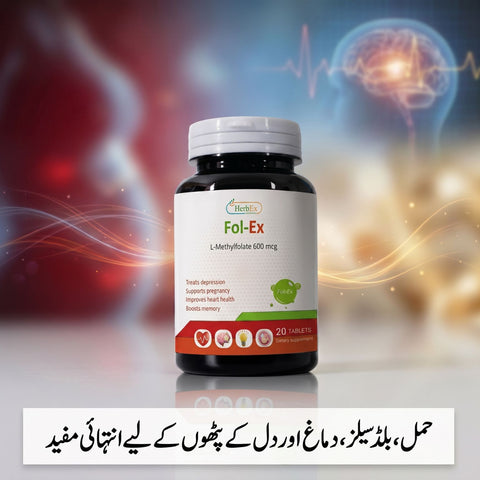 Fol-Ex